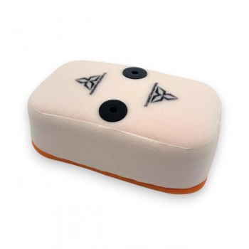 TCM intake spare filter -...