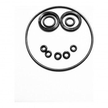 Complete Seals Kit -...